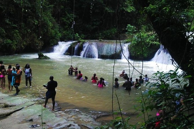 YS Falls and Sightseeing Tour Day Adventure - The Sum Up