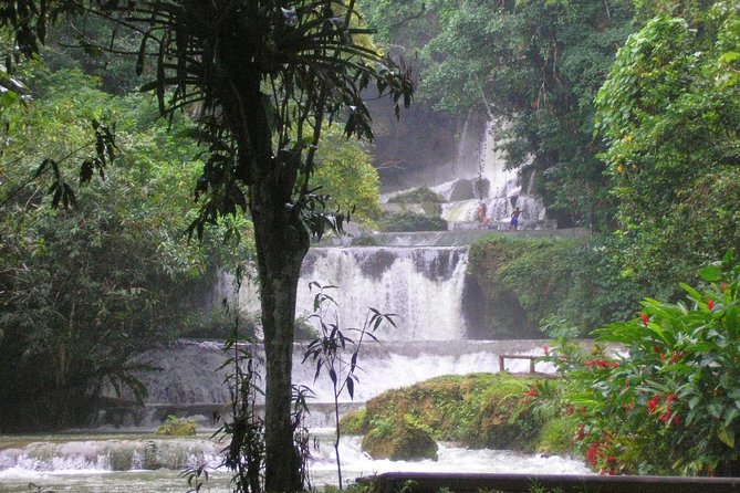 YS Falls and Sightseeing Tour Day Adventure - Experience the Natural Wonder of YS Falls and Sightseeing in Jamaica