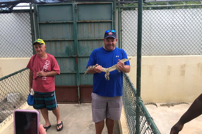 Black River Safari, YS Falls and Appleton Estate - A Closer Look at the Itinerary