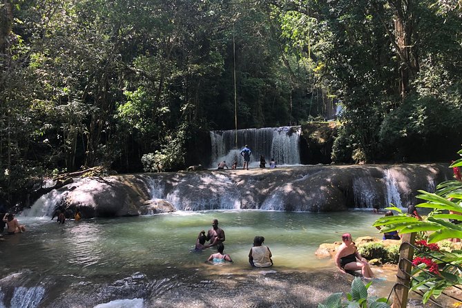 Black River Safari, YS Falls and Appleton Estate - Discovering Jamaica’s Natural Wonders and Flavors: Black River Safari, YS Falls, and Appleton Estate