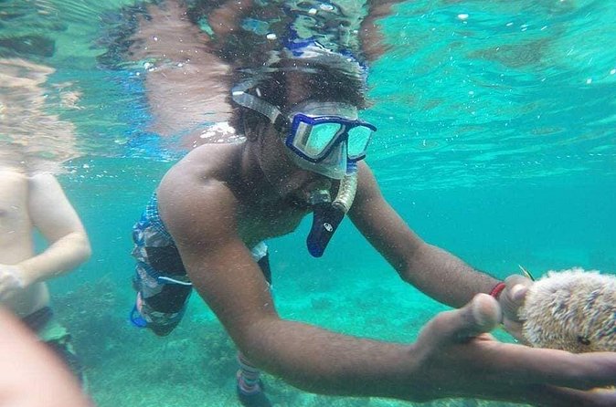 Rick's Cafe Sunset Cruise and Snorkelling - Final thoughts