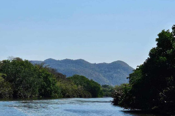Scenic & Historical Nature Boat Safari Up the Negril River - Key Points