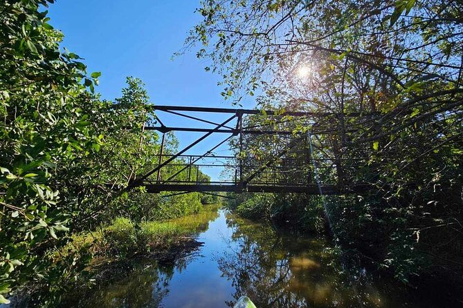 Scenic & Historical Nature Boat Safari Up the Negril River - FAQ