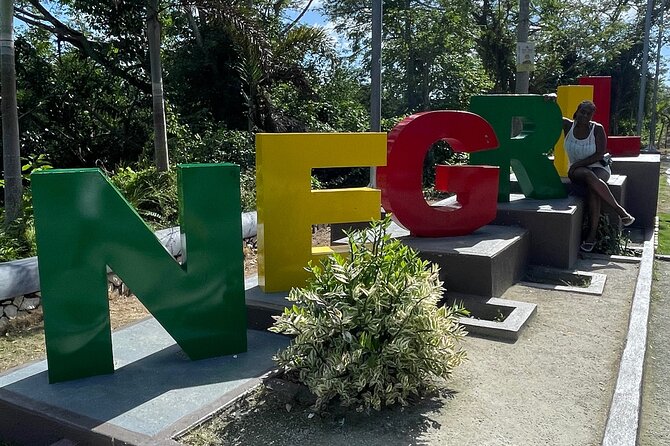 Private transportation from Sangster International Airport to Negril Resorts - Detailed Breakdown of the Experience