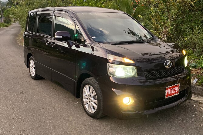 Airport Round-Trip Transfers To Negril From Sangsters International Airport - Key Points