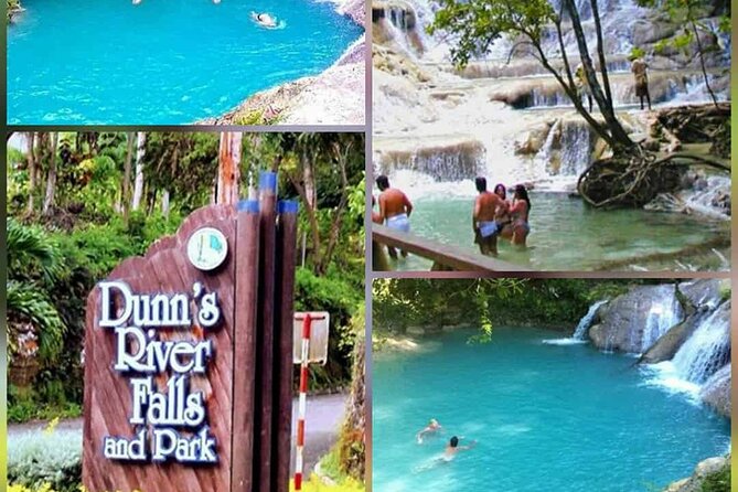 Dunn's River Falls and Bob Marley Mausoleum - Who Should Book This Tour?