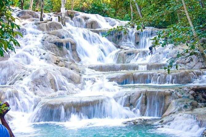 Dunn's River Falls and Bob Marley Mausoleum - An In-Depth Look at the Dunn’s River & Bob Marley Experience