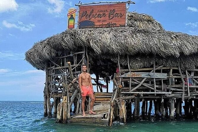 Full-Day South Coast - YS Falls, Pelican Bar & Black River Safari - Who Should Consider This Tour?