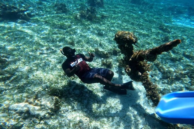 Negril Glass Bottom Boat Tour Snorkeling and Booby Cay - Key Points