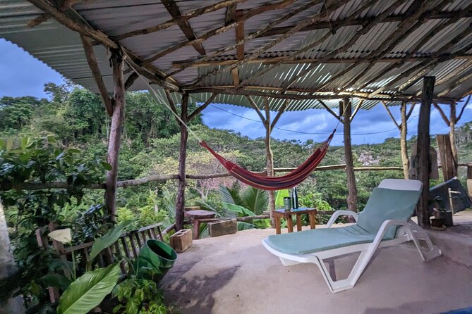 Jamaican Roots Tropical Farm Tour - Taste & Explore (Negril) 2hr - Authentic Reviews from Visitors