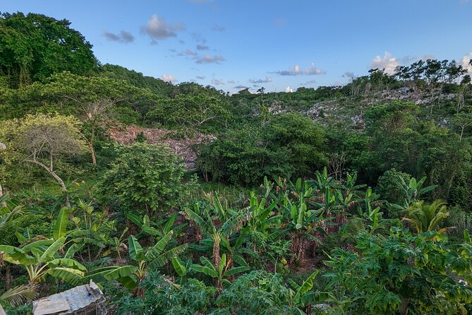 Jamaican Roots Tropical Farm Tour - Taste & Explore (Negril) 2hr - Authentic, Delicious, and Educational