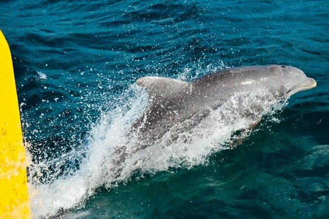 Sunset Party Catamaran Cruise PRINCESS GRAND Resort ADULTS ONLY - Starting Point and Transportation