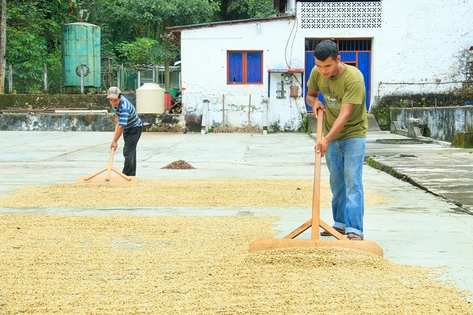 3 Levels of Huatulco Reloaded (Vanilla Experience) - The Sum Up