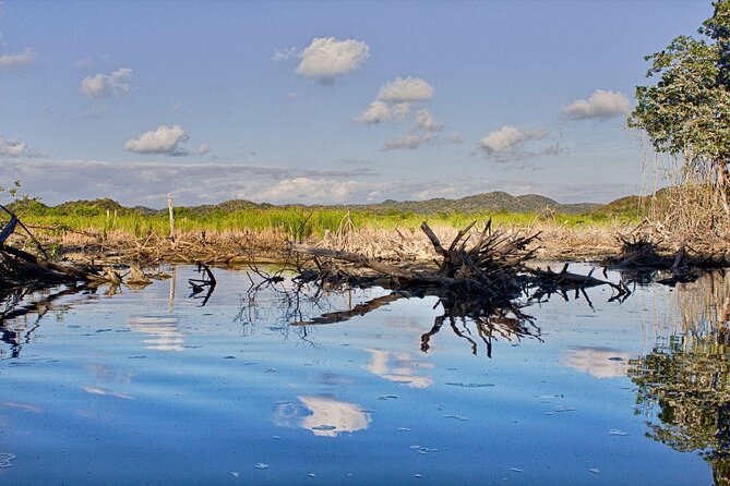 4-in-1 Tour - Mazunte,Cacao Factory, La Ventanilla & Turtle Spawn - A Closer Look at the Itinerary