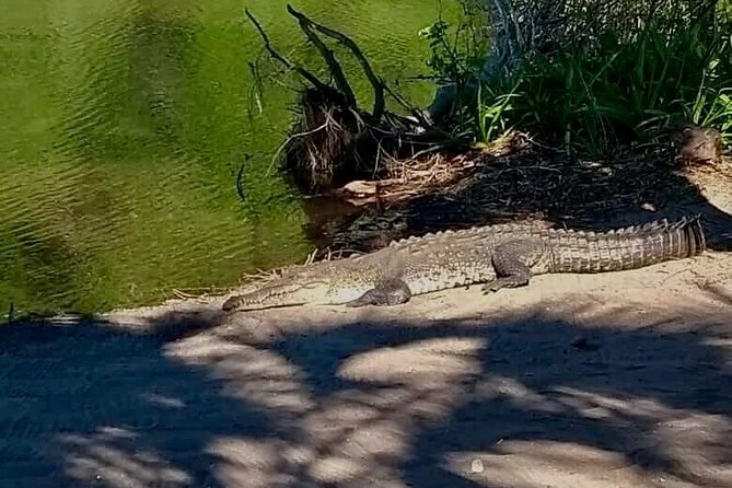 4-in-1 Tour - Mazunte,Cacao Factory, La Ventanilla & Turtle Spawn - Who Will Enjoy This Tour?