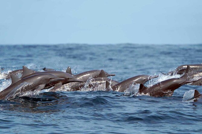 Private Huatulco Ocean, Bays & Coral Reef Snorkeling Adventures - Experience the Best of Huatulco’s Marine Wonders with a Private Snorkeling Tour