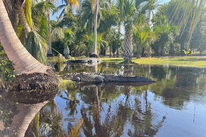 Crocodiles and Turtles Ecological Tour - A Detailed Look at the Crocodiles and Turtles Ecological Tour