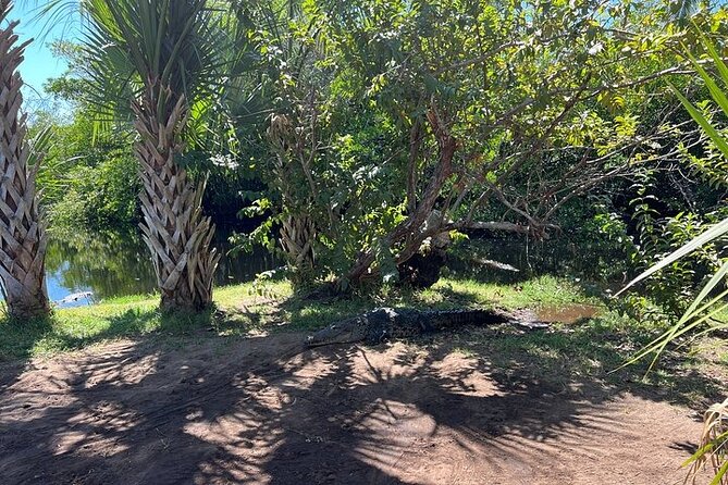 Crocodiles and Turtles Ecological Tour - FAQ