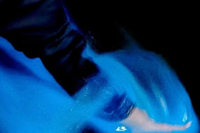 Turtle Release and Bioluminescence - FAQ