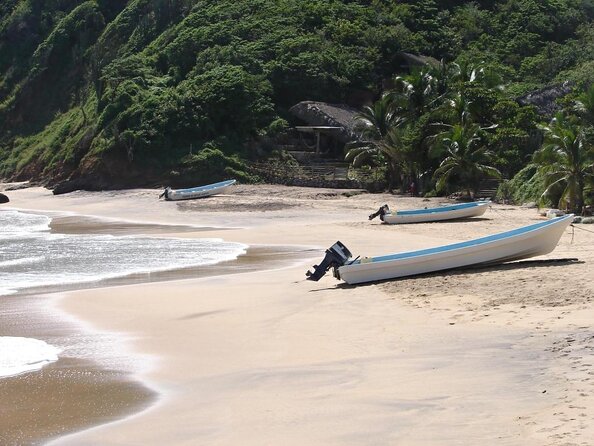 Huatulco Shore Excursion: Seven Bays Private Tour - Key Points