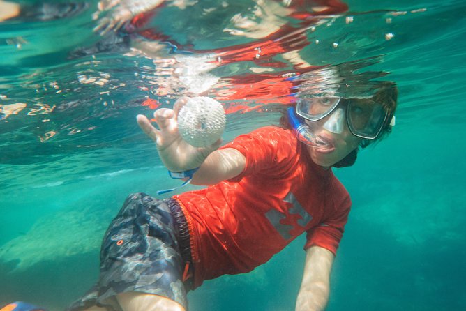 Premium Family Snorkeling Experience - Who Should Consider This Tour?