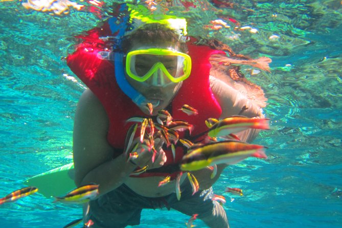 Premium Family Snorkeling Experience - An Honest Look at the Premium Family Snorkeling Experience in Huatulco