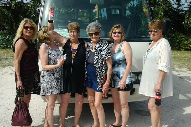 Airport Transfer To Riu Hotel Ocho Rios - Who Will Benefit Most?