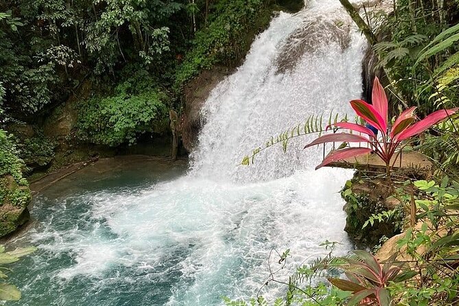 Blue Hole from Ocho Rios - Final Thoughts: Is the Blue Hole Tour Right for You?
