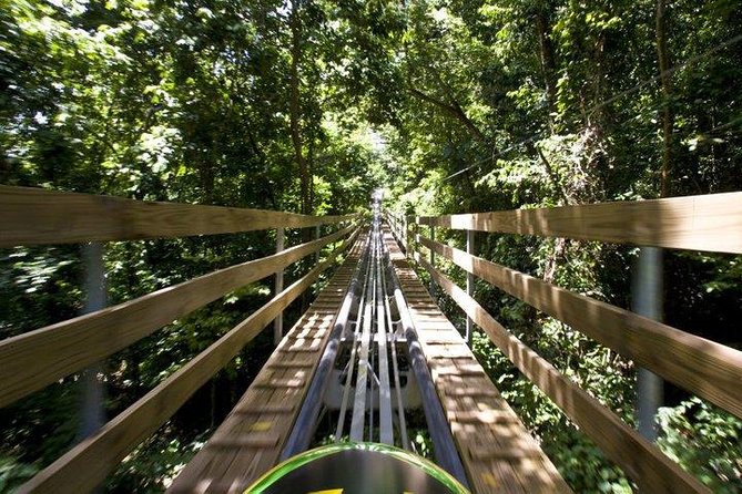 Jamaica Bobsled (Mystic Silver) Adventure Tour - An In-Depth Look at the Jamaica Bobsled Adventure
