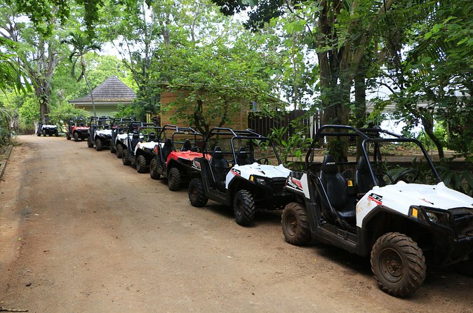 Wet n Dirty ATV Outback Adventure From Ocho Rios - Final Thoughts