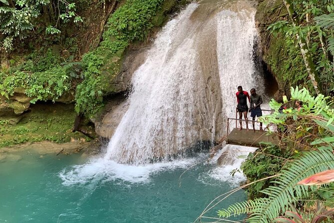Dunns River Falls & Blue Hole Tour with Lunch - A Closer Look at the Experience