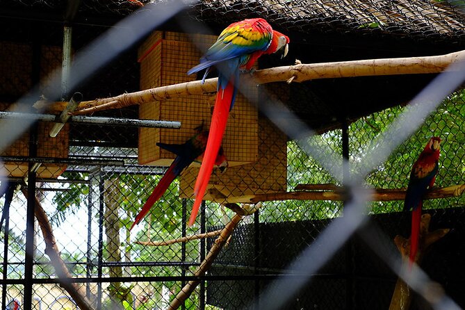 Half Day Tour to Konoko Gardens and Blue Hole Ocho Rios - FAQs