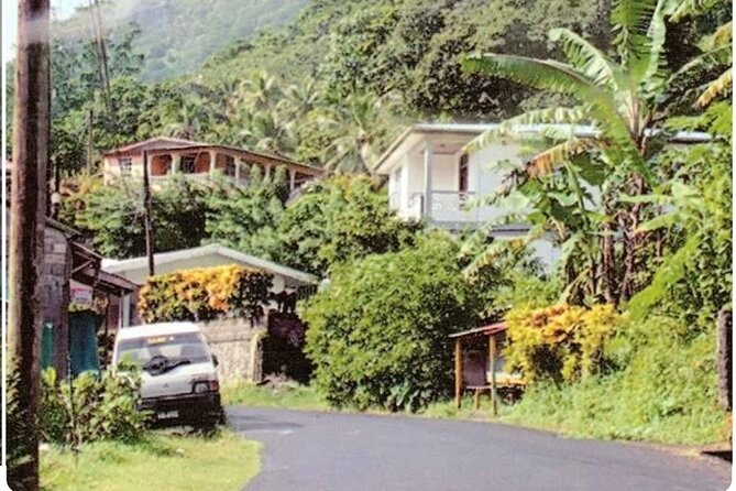 Sightseeing Tour in Ocho Rios - What It Means for You