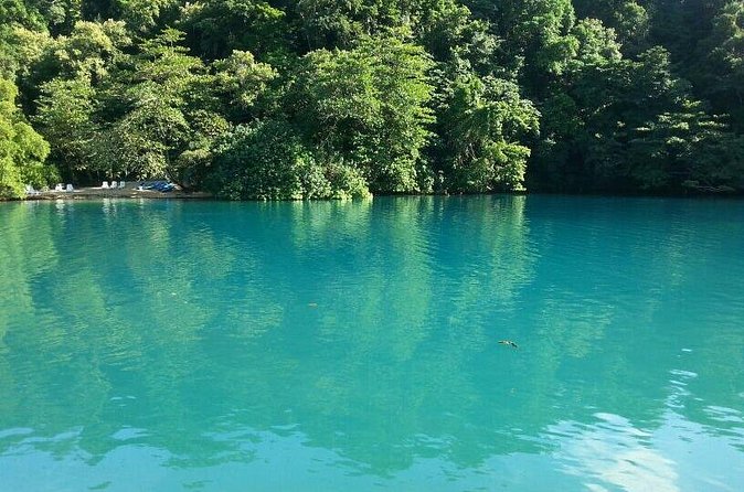 Tour to Fern Gully and Konoko Falls and Park - FAQs