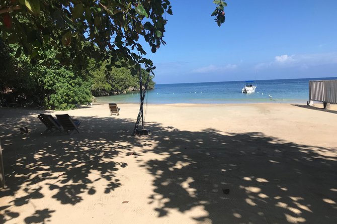 Ocho Rios City Bus Tour (Beach, Sightseeing & Shopping) - Practical Considerations