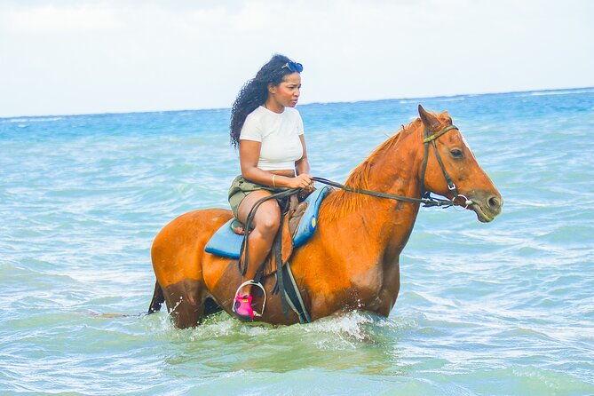 Horseback Riding/Swimming and Dunn's River from Ocho Rios - A Detailed Look at the Experience