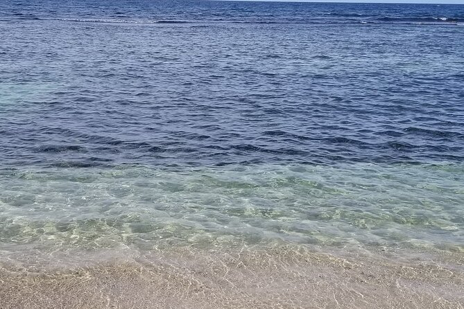 Dunn's River Falls and Blue Hole Combo Tour From Ocho Rios & Runaway Bay - Who Should Book This Tour?