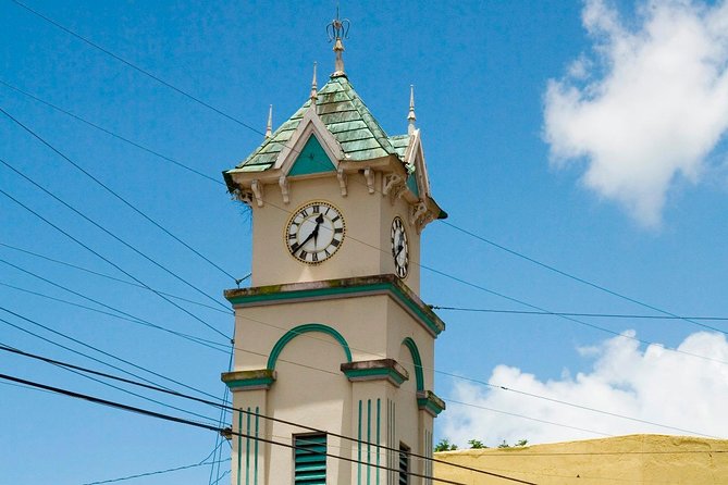 Country Side and Sight Seeing with Dunns River Falls - Who Will Love This Tour?