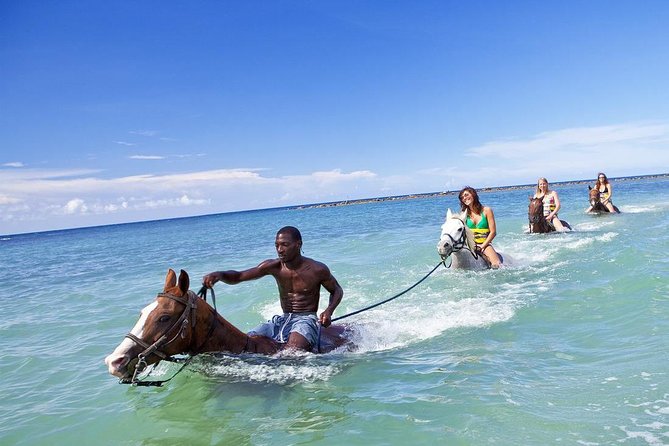 Beach Horseback Riding and Dunns River Falls - The Experience Breakdown