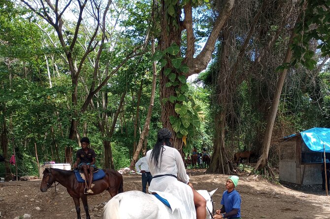 Horseback riding, Blue hole or Dunn's River Combo - A Detailed Look at the Tour Experience