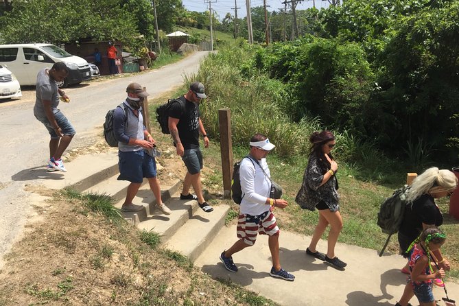 Private Ocho Rios Highlights Tour with Pickup - Key Points