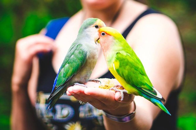 Private Transfer to Yaaman Adventure Park from Ocho Rios - The Sum Up: Why This Tour Offers Real Value