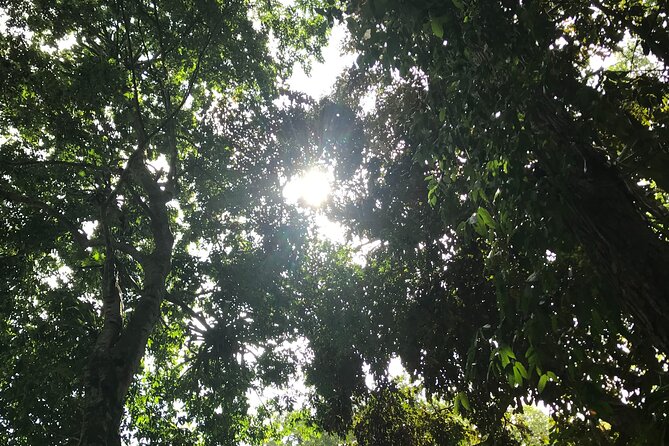 Ys Falls From Ocho Rios - Final Thoughts