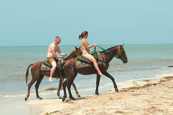 Horseback Riding and Blue Hole, Ocho Rios or River Tubing - FAQ