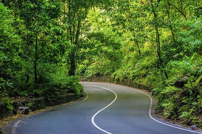 Private Ocho Rios Tour with Dunn's River Falls and Lunch - Practical Details and What to Expect