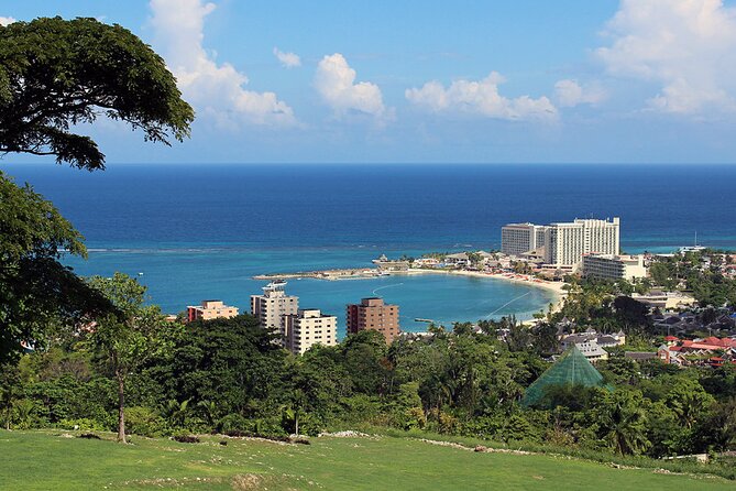 Private Ocho Rios Tour with Dunn's River Falls and Lunch - Who Would Love This Tour?