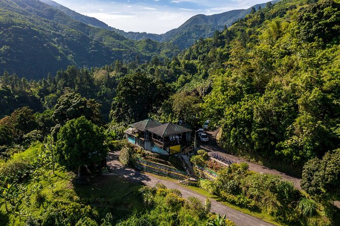 Blue Mountain Highlights - Who Should Consider This Tour?