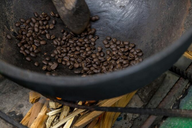 Coffee Farm Hike Through Jamaica Blue Mountains from Ocho Rios - Who Is This Tour Best For?