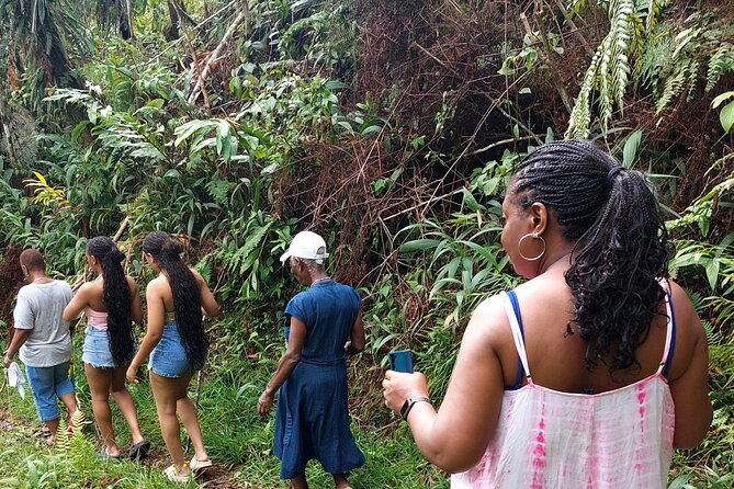 Blue Mountain Sight-Seeing & Nature Trail Hike with Private Guide - Exploring the Blue Mountains: A Guided Sight-Seeing & Nature Trail Hike