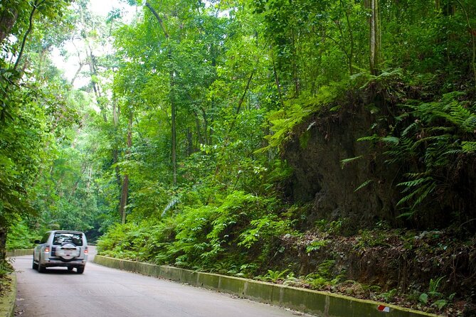 Ocho Rios Sightseeing, Beach Half-Day Tour (Admission include) - Experience Ocho Rios in a Half-Day Tour That Combines Sightseeing, Shopping, and Beach Relaxation